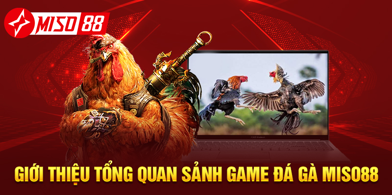 Giới thiệu tổng quan sảnh game đá gà Miso88