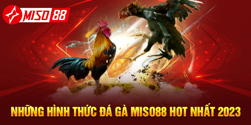 Những hình thức đá gà MISO88 hot nhất 2024